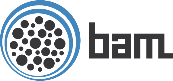 BAM Schritte-Challenge